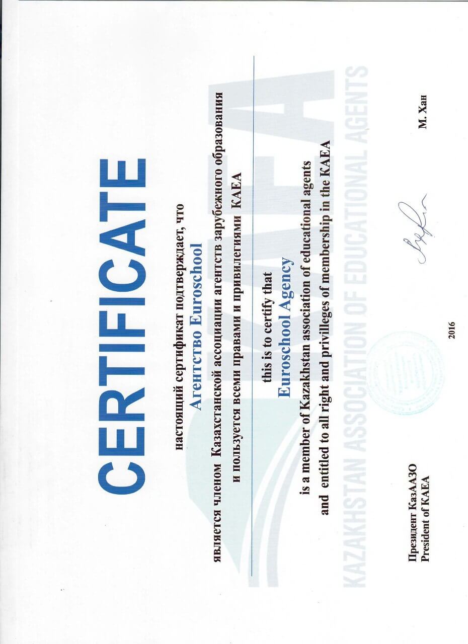 Certificate 13